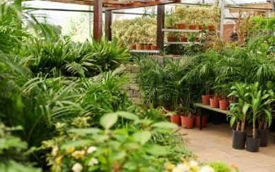 3 idées de décoration à adopter en 2021 !