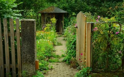 Travaux paysagers : comment bien aménager son jardin ?