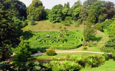 Comment identifier un paysagiste compétent pour son jardin